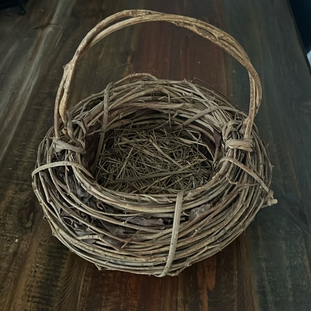 Birds Nest Gift Basket